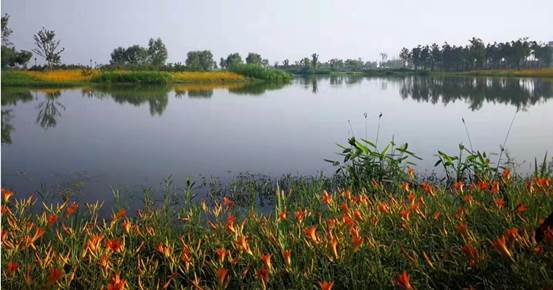 说明: 微信图片_20211101093710