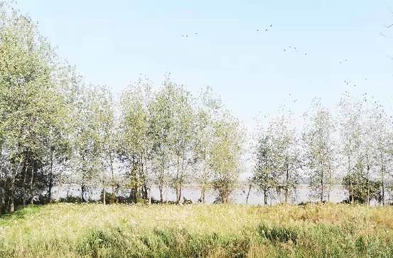 说明: 微信图片_20211101101500