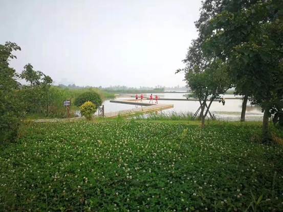 说明: 微信图片_20211101093531