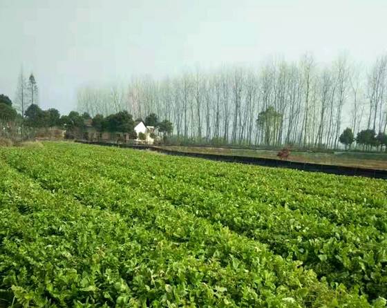 说明: 微信图片_20211026074241_副本.jpg