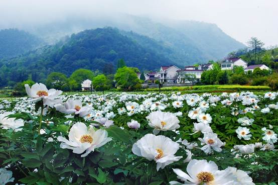 说明: 微信图片_20210401171824_副本.jpg