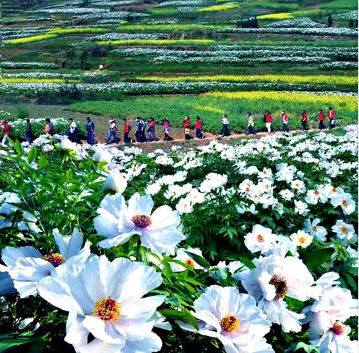 说明: 微信图片_20220412095358_副本.jpg